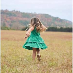 Meet your Posher, Ginger